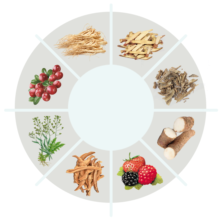 BreathEaseX ingredients circle